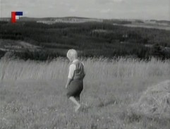 Bobeš na kopci
