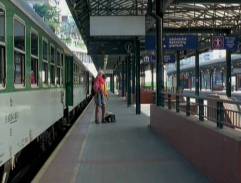 Jak se krotí krokodýli