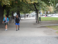 v parku