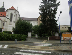 Červená ještěrka