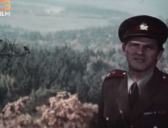 Vyšetřování nehody