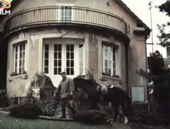 Kronika žhavého léta