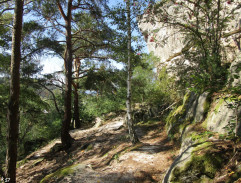 Dovolená s Andělem