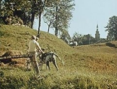 Táto, sežeň štěně!