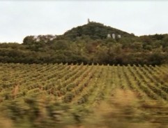 Kopec se zříceninou