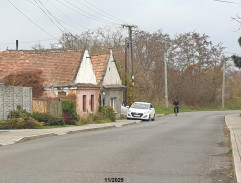 6. Slepá svědkyně