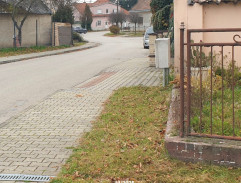 6. Slepá svědkyně