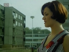 Stín létajícího ptáčka