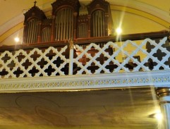 organ