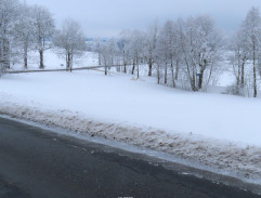 Všichni dobří rodáci