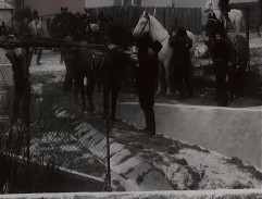 Na druhém břehu svoboda