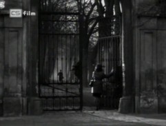 Panna zázračnica