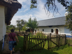 O zakletém hadovi