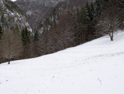 vyhnanecká kolónia