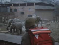 pavilón slonov