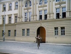 Zelená vlna
