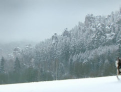 Skály nad vesnicí