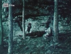 Cikáni