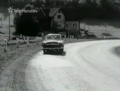 Veřejná bezpečnost