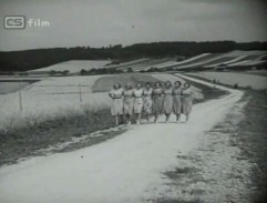 Děvčata