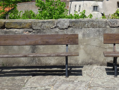 král krmí svého psa