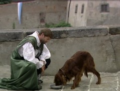 král krmí svého psa