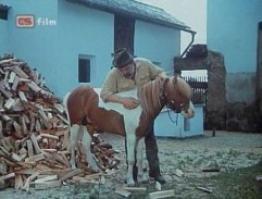 dvor Vaculíkovho statku