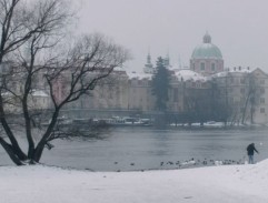 Jaroslav krmí labutě