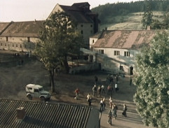 Družstvo