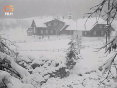 Stanice na hranici