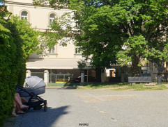 v parku