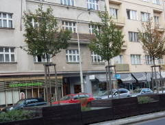 Krádež