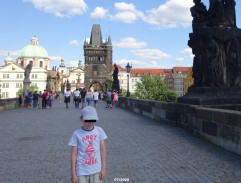 Dobrý voják Švejk