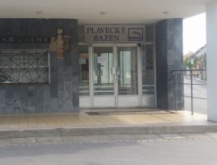 Hodinový manžel