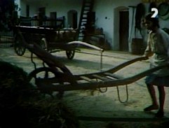 dvor bohatého sedliaka