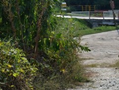 S02E09 Vražedná sieť