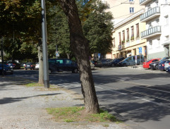 Strach