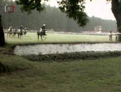 3. Zloba