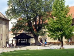 Královská vyhláška