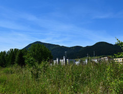 2. Vzdor