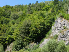 2. Vzdor