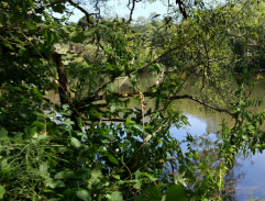 2. Vzdor