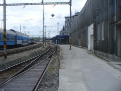 Všiváci