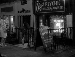 Olga Psychic Reader & Advisor