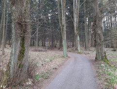 Jízda autem 2