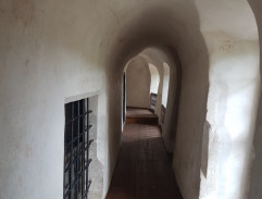 Hlas pro římského krále