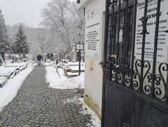 11. Draculův švagr