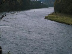 v rieke