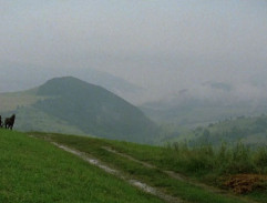 Želary