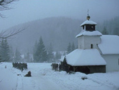 Želary